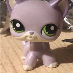 LPS kitty